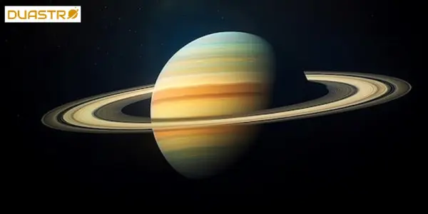 Saturnian Plants Embracing Discipline and Structure